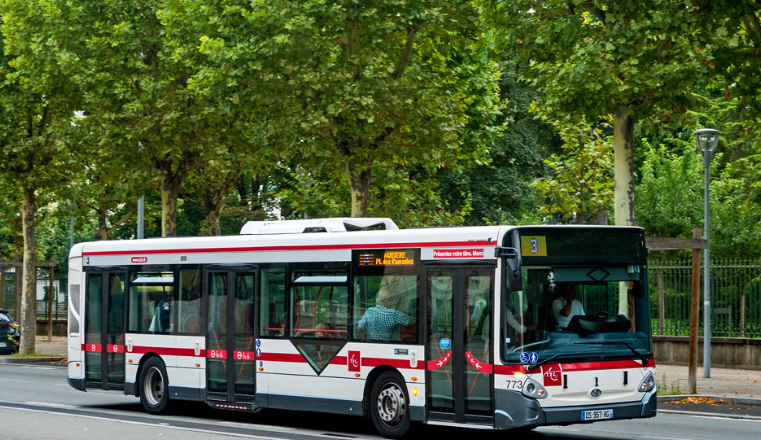 BUS